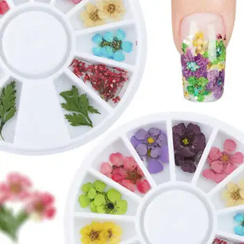 12 Culori Reale de Flori Uscate 3D UV Gel Acrilic False, Sfaturi de Unghii Manichiura Decor Unghii Flori Uscate Nail Art unghii decorare