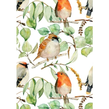 Desiș Păsări autoadezive, imagini de Fundal Îndepărtat Multicolor Sparrow Coji de fructe și Stick Autocolante de Perete pentru Dormitor Cabina Decor de Perete