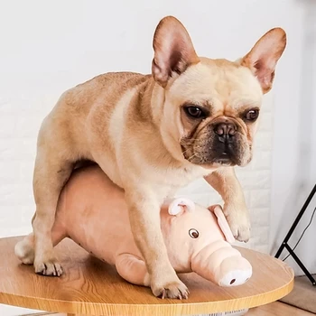 Pluș Porc de Câine de Companie care Însoțesc Somnul Jucării pentru Câini de talie Mică Bulldog francez Musca Molar de Ventilare Consumabile Catelus Joc Jucărie