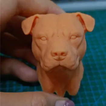 Nevopsită 1/6 Scară Rottweiler Cap de Câine Sculpta Modelul De 12 inch de Acțiune Figura Păpuși Pictura Exercitiul Nr 078