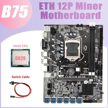 NOU-B75 ETH Miniere Placa de baza 12XPCIE Adaptor USB+CPU G620+Comutator Cablu LGA1155 MSATA DDR3 B75 USB Miner Placa de baza