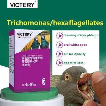 Porumbel pui de porumbel gura gâtul alb punctul gura galbenă trichomonas pierderea de alimente desen lipicios flegma racing pigeon probiotice