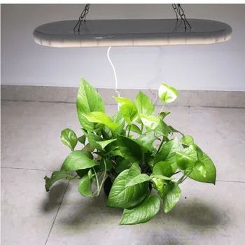 LED-uri Cresc Light Spectru Complet Estompat timer USB Fito Lampa Pentru Interior Răsaduri de Flori Hidroponice de plante Cresc cu efect de Seră Cort