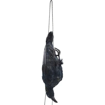 3X Realist Agățat Cioară Moartă Momeală Lifesize Extra Large Negru cu Pene de Cioara